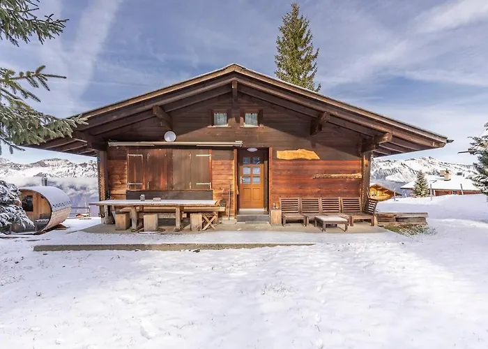 Sara Apartment Axalp